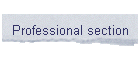 Professional section
