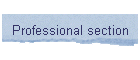 Professional section